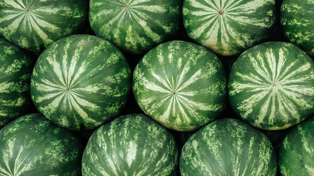 Beyond Water. An introduction to the many varieties of melon - IIF article