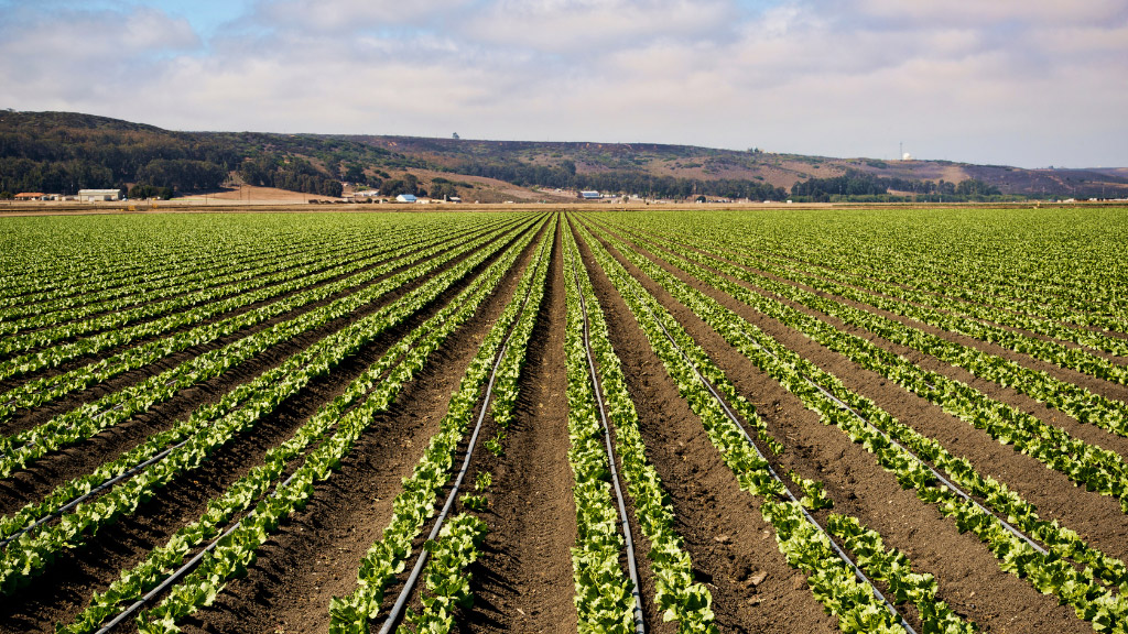 Cutting water with a laser article