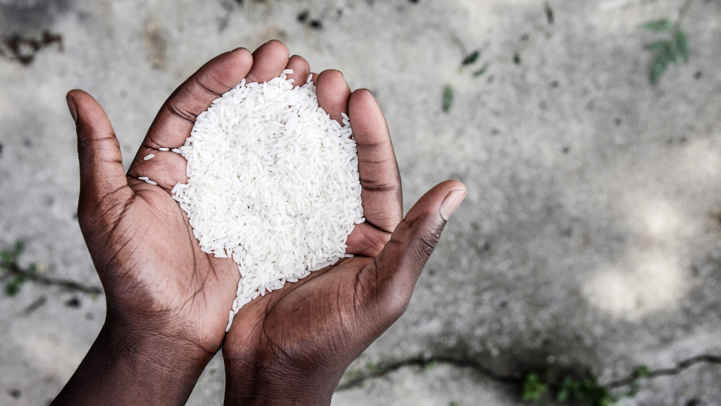 The farm that feeds a multitude