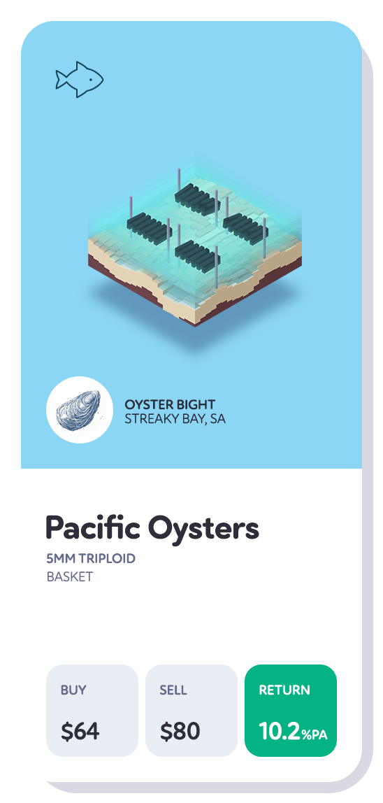 oysterCardC
