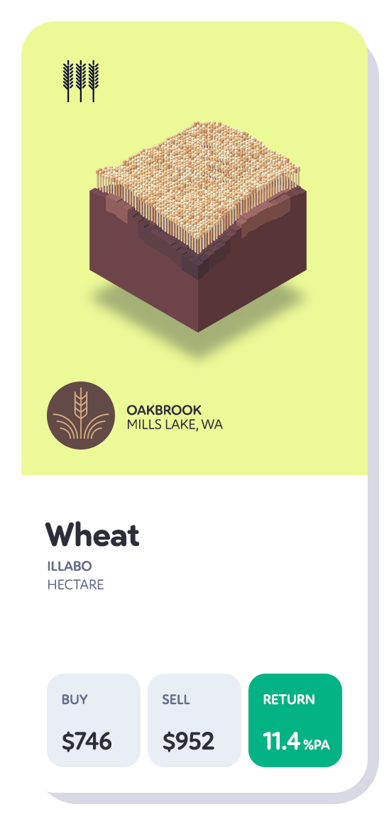 wheatCardB